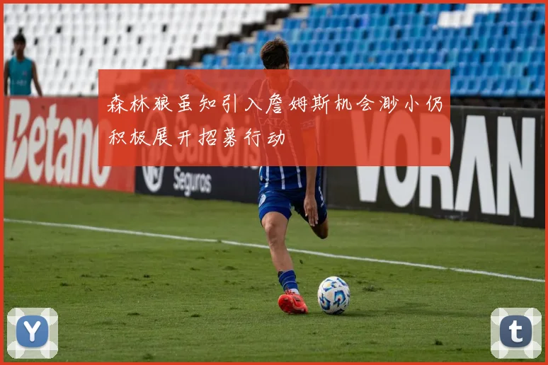 森林狼虽知引入詹姆斯机会渺小仍积极展开招募行动