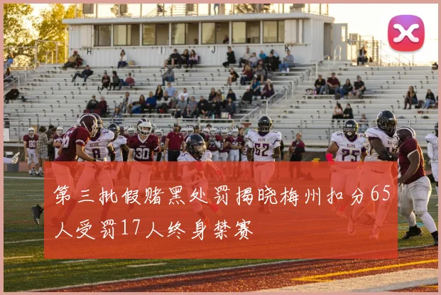 第三批假赌黑处罚揭晓梅州扣分65人受罚17人终身禁赛